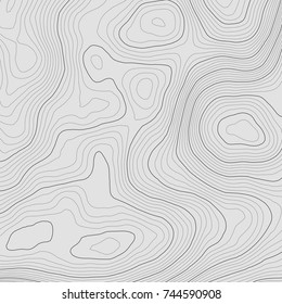 Topographic map background concept with space for your copy.Vector abstract illustration.Geography concept.