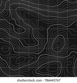 Topographic map background concept with space for your copy.Vector abstract illustration.Geography concept.