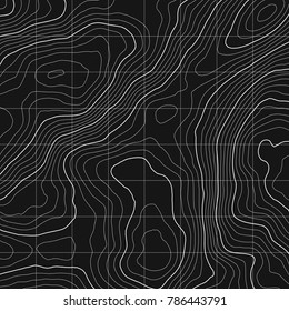 Topographic map background concept with space for your copy.Vector abstract illustration.Geography concept.