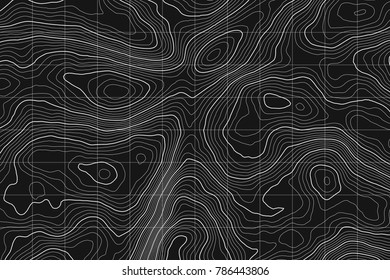 Topographic map background concept with space for your copy.Vector abstract illustration.Geography concept.