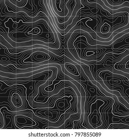 Topographic map background concept with space for your copy.Vector abstract illustration.Geography concept.
