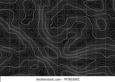 Topographic map background concept with space for your copy.Vector abstract illustration.Geography concept.
