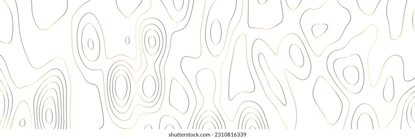 Topographic map background concept. Vector abstract illustration. Geography concept. The stylized height of the topographic map contour in colorful lines