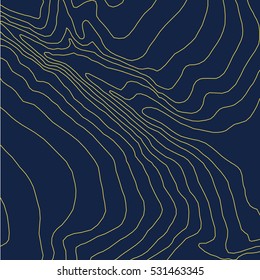 Topographic map background concept.Vector abstract illustration.Geography concept.