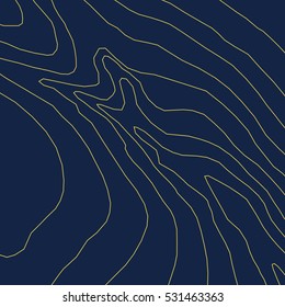 Topographic map background concept.Vector abstract illustration.Geography concept.