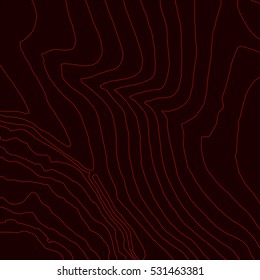 Topographic map background concept.Vector abstract illustration.Geography concept.