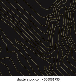 Topographic map background concept.Vector abstract illustration.Geography concept.