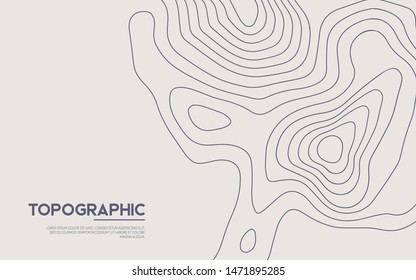 Topographic map background. Contour map vector. Vector, abstract height lines on white background.