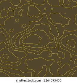 Topographic map background. Geographic abstract patterns grid. The topo contour map with stylized height. Mountain trail terrain, terrain path. Vector illustration.