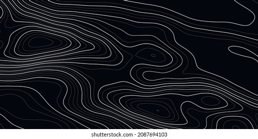 Topographic Map Background. Geographic Line Map With Elevation Assignments. Contour Background Geographic Grid. Vector Illustration.