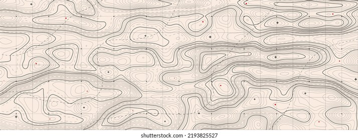 Topographic map background. Geographic line map with elevation assignments. Contour background geographic grid. Vector illustration.