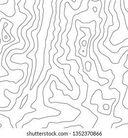 Topographic map background. Geographic World Topography map grid abstract vector illustration. Topo map with elevation.
