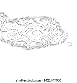 Topographic map background. Grid map. Abstract vector illustration.