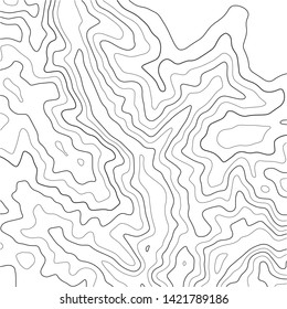Topographic map background. Grid map. Abstract vector illustration.