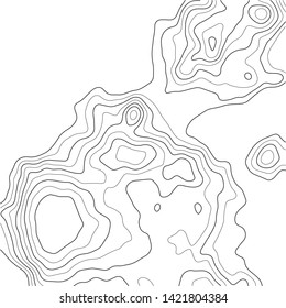 Topographic map background. Grid map. Abstract vector illustration.