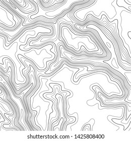 Topographic map background. Grid map. Abstract vector illustration.