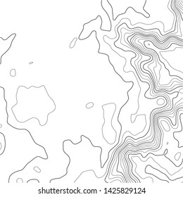 Topographic map background. Grid map. Abstract vector illustration.
