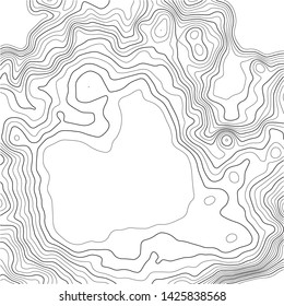Topographic map background. Grid map. Abstract vector illustration.