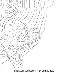 Topographic map background. Grid map. Abstract vector illustration.