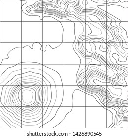 Topographic map background. Grid map. Abstract vector illustration.