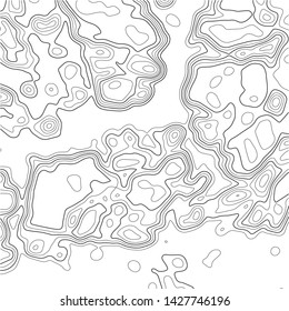 Topographic map background. Grid map. Abstract vector illustration.