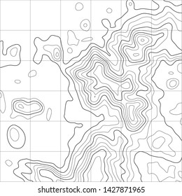 Topographic map background. Grid map. Abstract vector illustration.