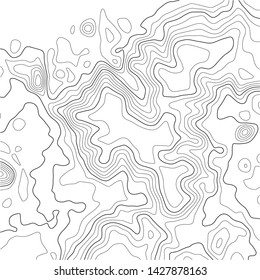 Topographic map background. Grid map. Abstract vector illustration.