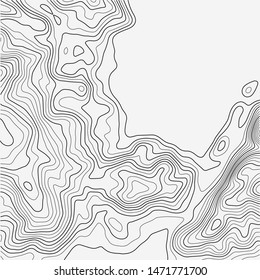 Topographic map background. Grid map. Abstract vector illustration.