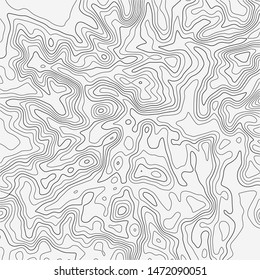 Topographic map background. Grid map. Abstract vector illustration.