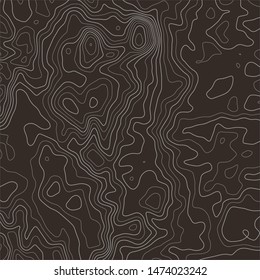 Topographic map background. Grid map. Abstract vector illustration.