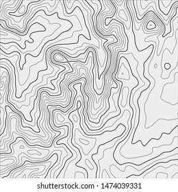 Topographic map background. Grid map. Abstract vector illustration.