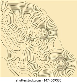 Topographic map background. Grid map. Abstract vector illustration.