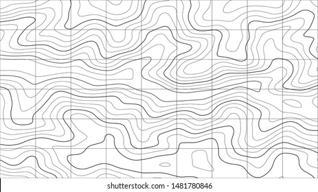 Topographic map background. Grid map. Abstract vector illustration.