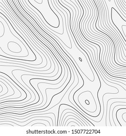 Topographic map background. Grid map. Abstract vector illustration. - Shutterstock ID 1507722704