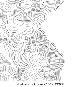 Topographic map background. Grid map. Abstract vector illustration.