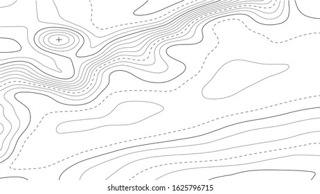 Topographic map background. Grid map. Abstract vector illustration.