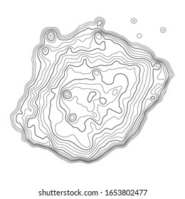 Topographic map background. Grid map. Abstract vector illustration.