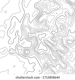 Topographic map background. Grid map. Abstract vector illustration.