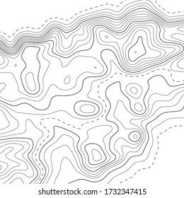 Topographic map background. Grid map. Abstract vector illustration.