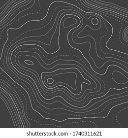 Topographic map background. Grid map. Abstract vector illustration.