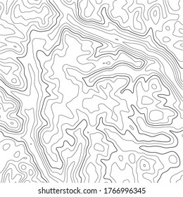 Topographic map background. Grid map. Abstract vector illustration.