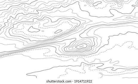 Topographic map background. Grid map. Abstract vector illustration.