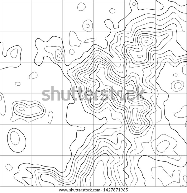 Topographic map background. Grid map.
Abstract vector
illustration.