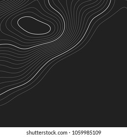 Topographic map background. Grid map. Contour. Vector illustration.
