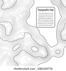 Topographic map background. Grid map. Contour. Vector illustration.