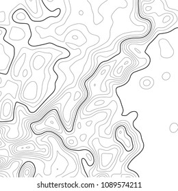 Topographic map background. Grid map. Contour. Vector illustration.