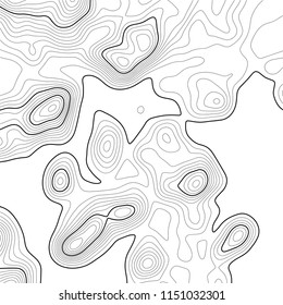 Topographic map background. Grid map. Contour. Vector illustration.