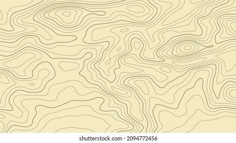 Topographic map background. Grid map. Pattern of contour lines. Abstract vector illustration.	