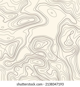 Topographic map background. Grid map. Pattern of contour lines. Abstract vector illustration.	