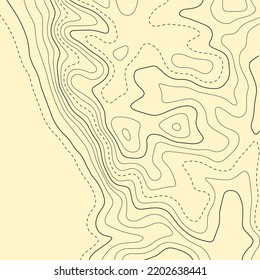 Topographic map background. Grid map. Pattern of contour lines. Abstract vector illustration.